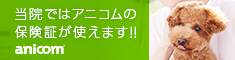 アニコム損保のペット保険どうぶつ健保