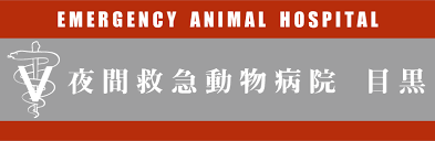 夜間救急動物病院 目黒